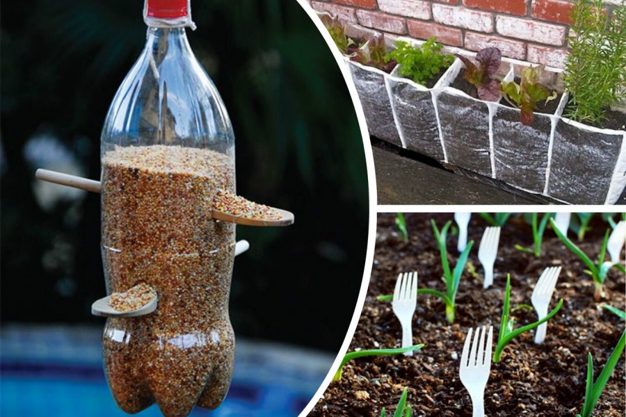 Интересные вещи для сада и огорода