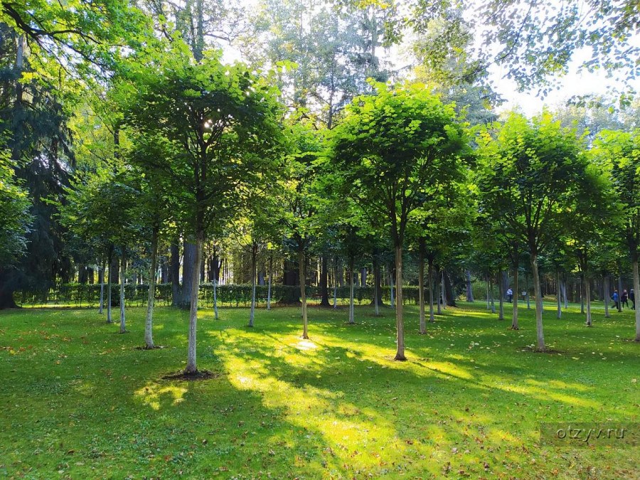 Детский сад Остафьево 2083