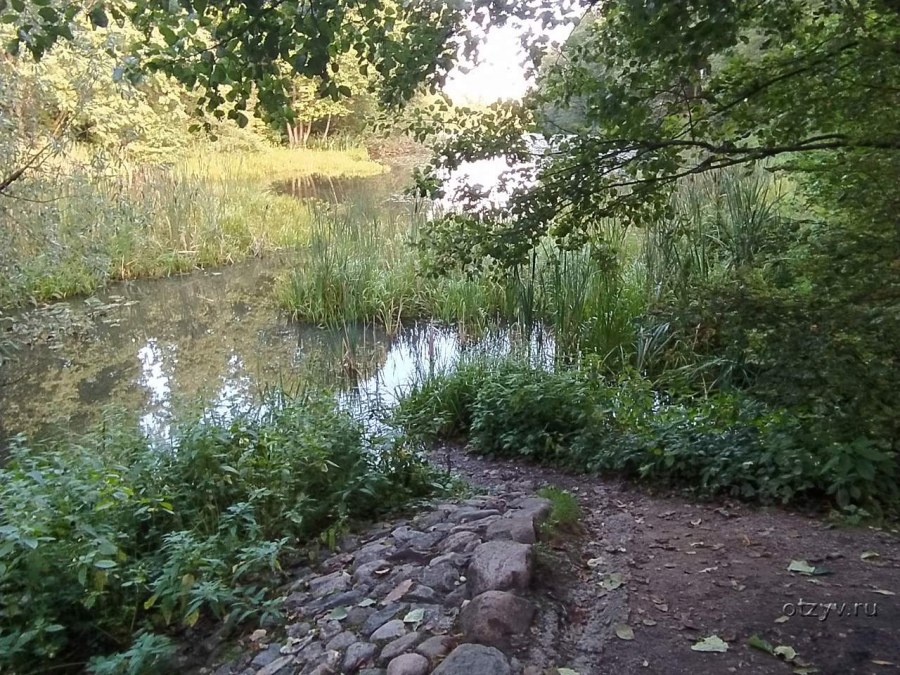 Усадьба Остафьево схема