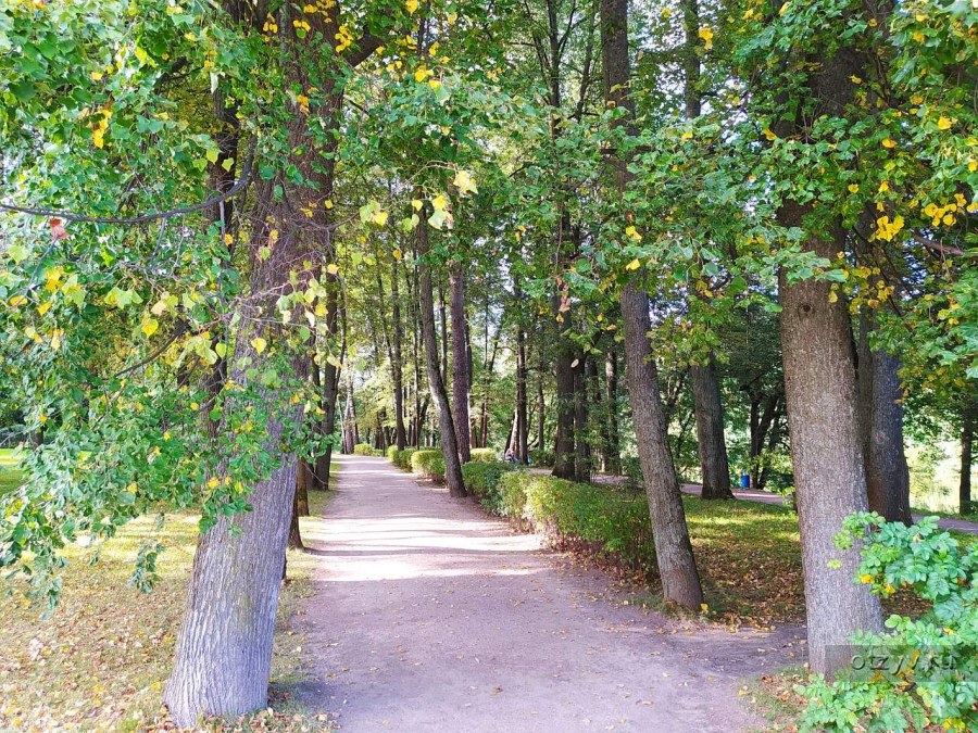 Открытие детского сада Остафьево