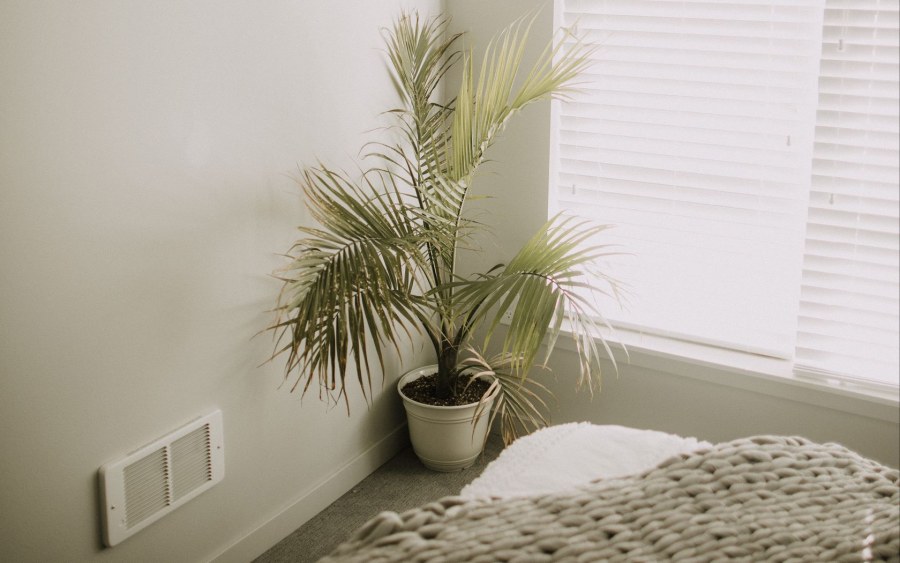 Эстетика Минимализм