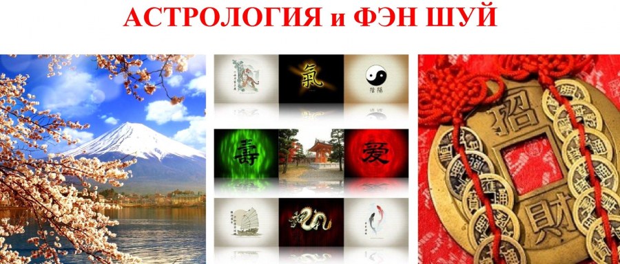 5 Элементов природы