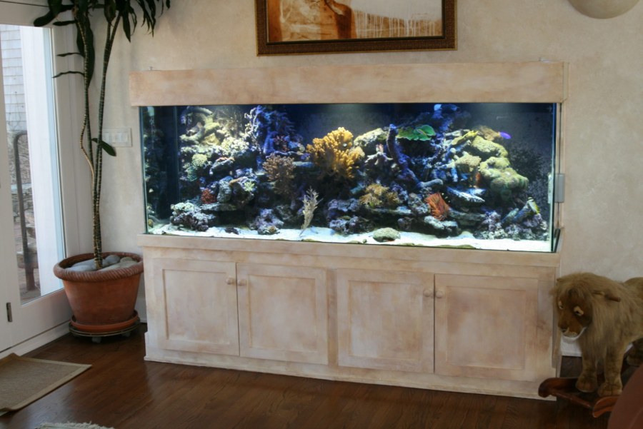 Аквариум в интерьере квартиры
