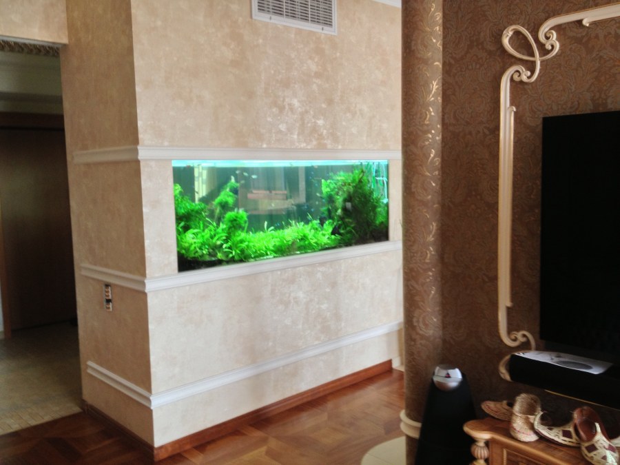 Аквариум в классическом стиле