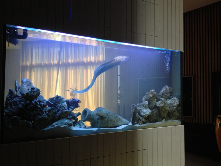 Перегородки в комнате с аквариумом