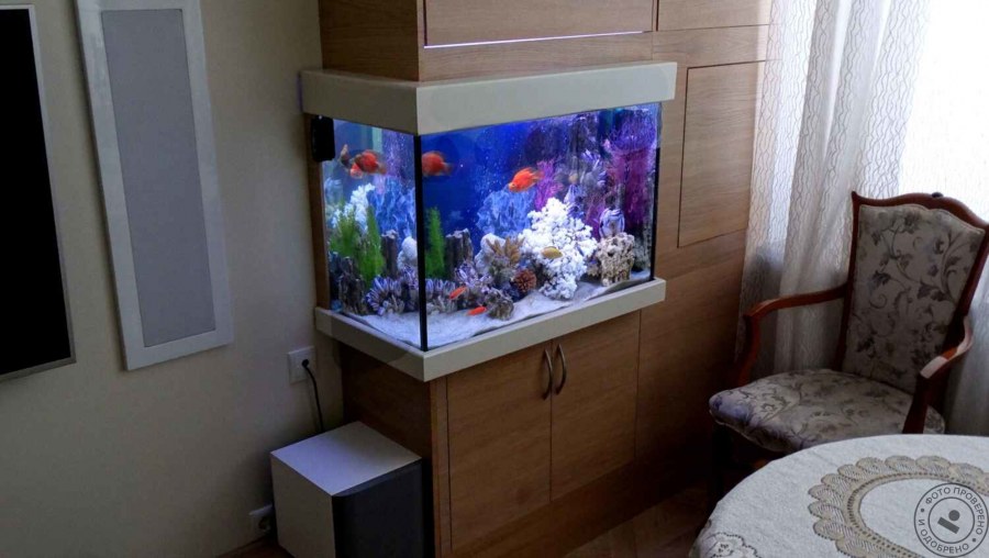 Аквариум полуцилиндрический