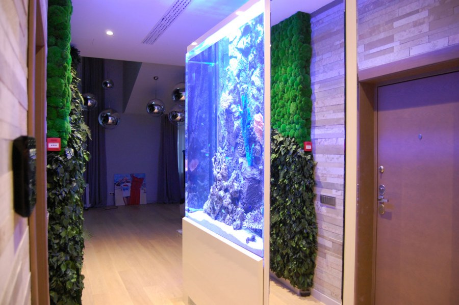 Аквариум в коридоре