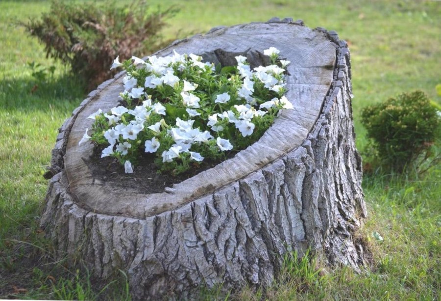 Необычные клумбы