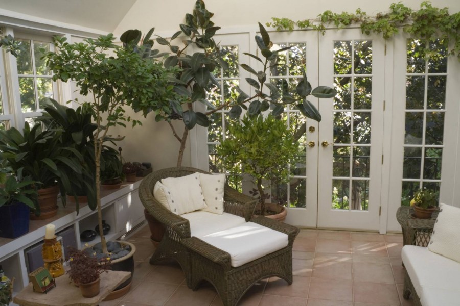 Фазенда зимний сад