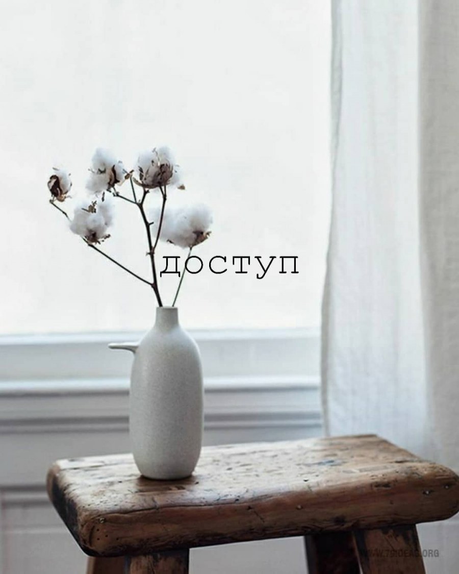 Цветы хлопка в интерьере