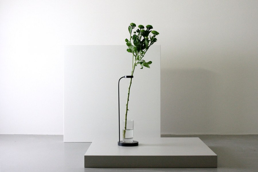 Цветы Минимализм