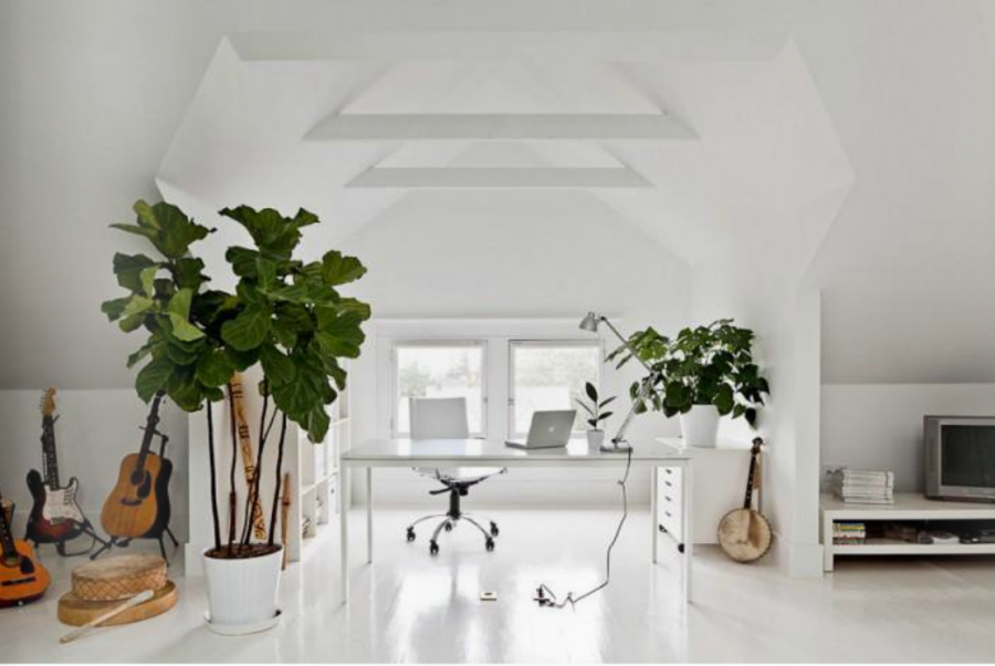 Растения в минималистичном интерьере