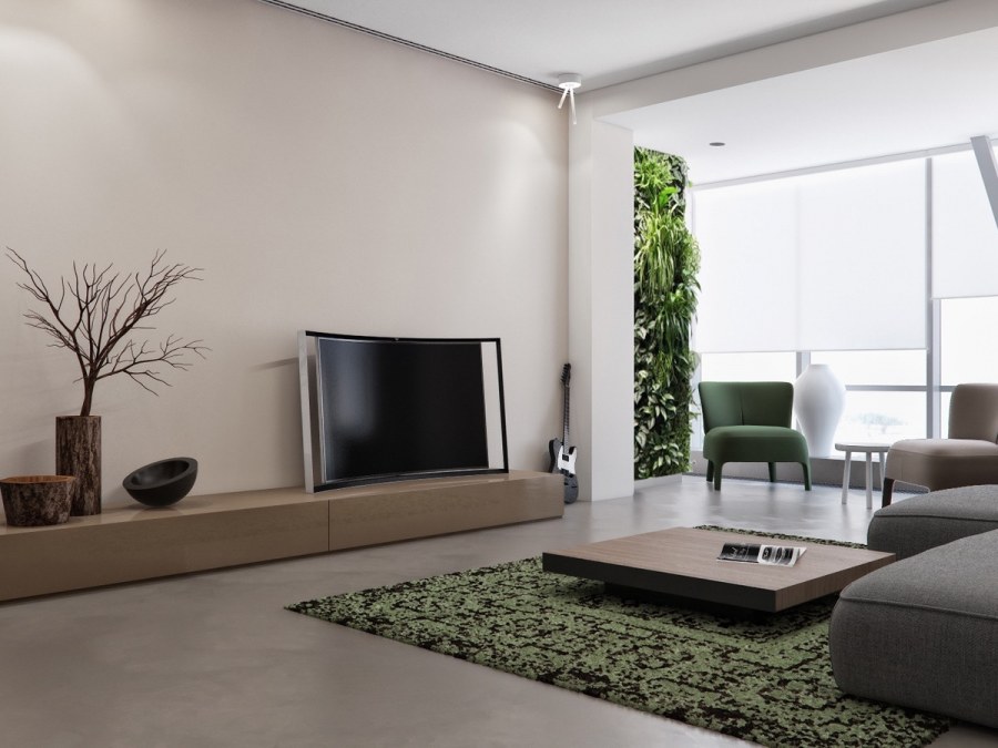 Цветы в интерьере гостиной Минимализм