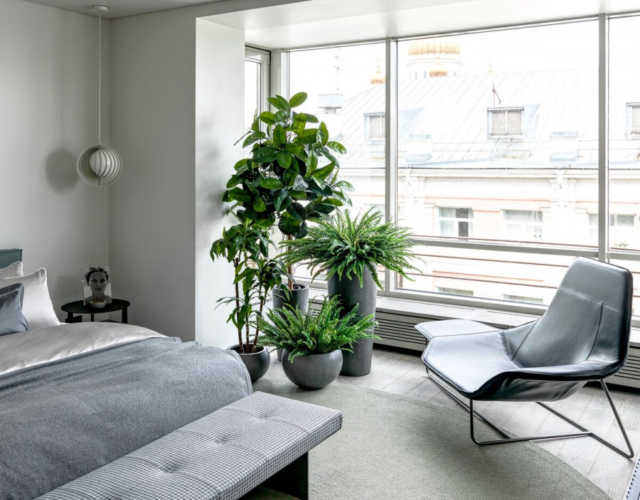Квартира Минимализм с растениями
