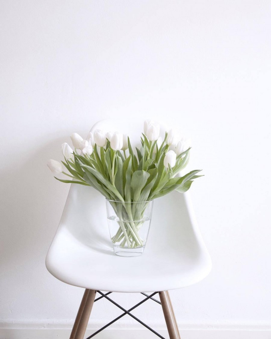 Цветы в интерьере Минимализм