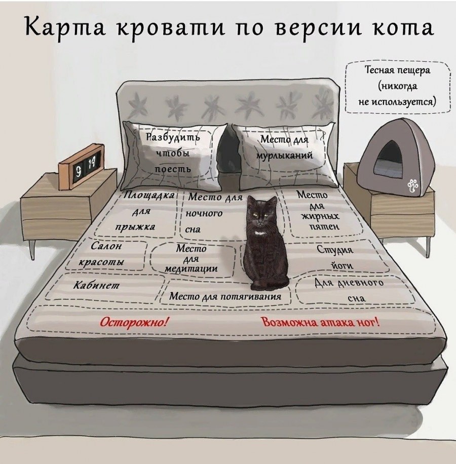 Карта кровати по версии кота