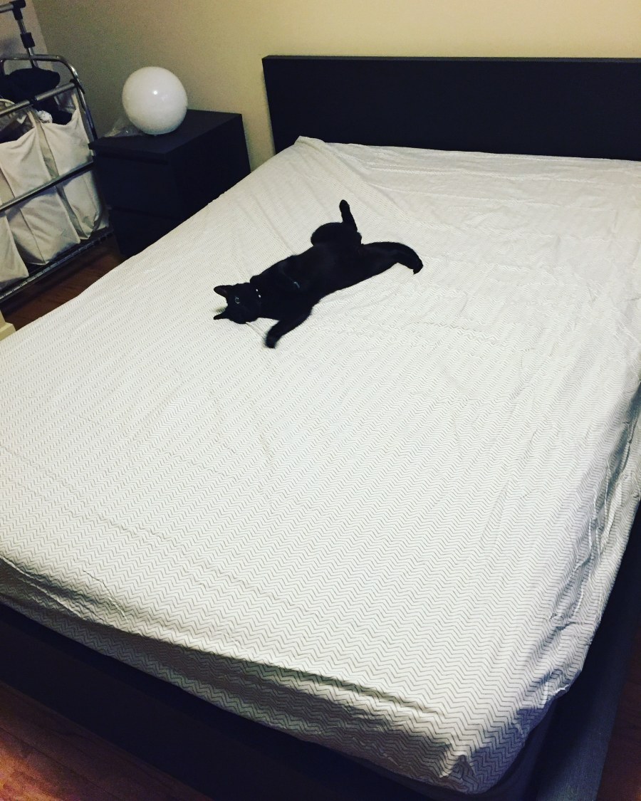 Кот распластался на кровати