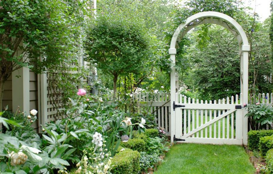 Американский задний двор