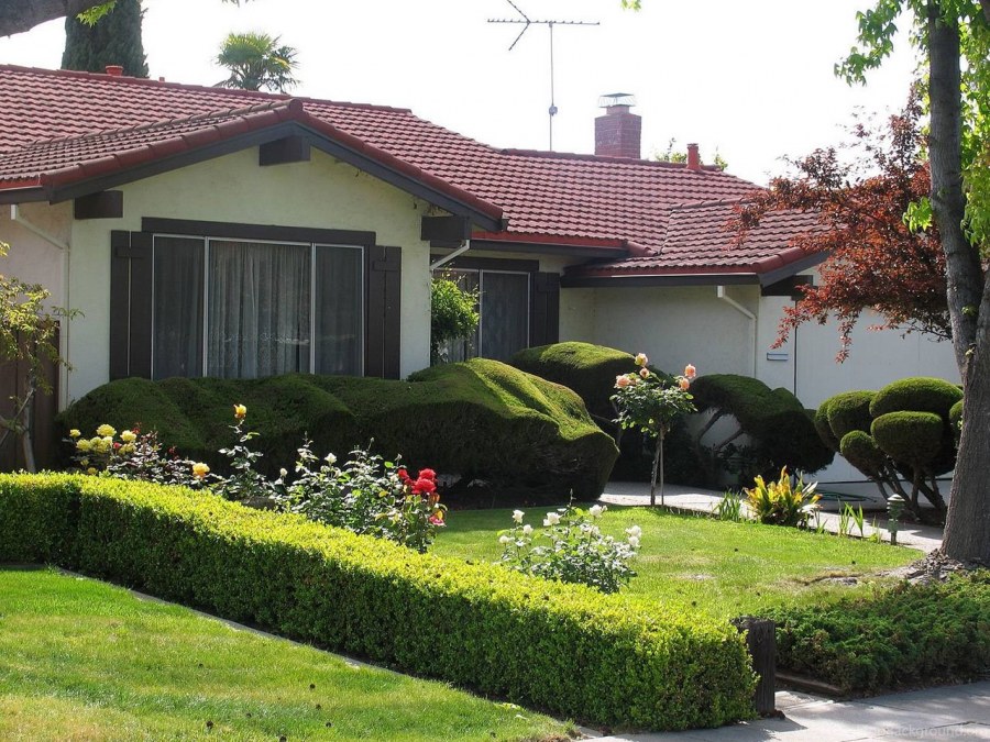 Сад в скандинавском стиле