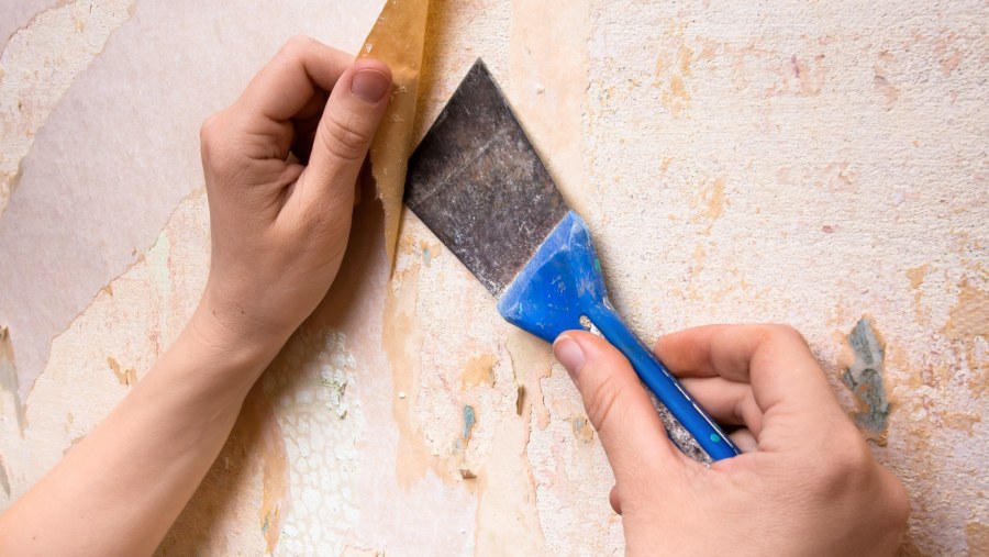 Оштукатуренная стена сохнет