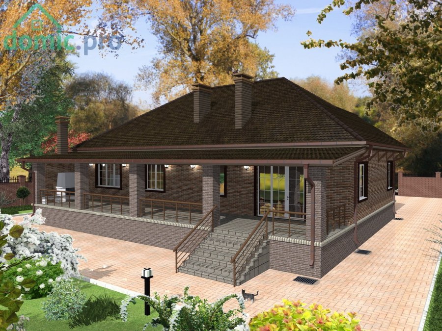 Проект z10 одноэтажный дом с террасой и гаражом