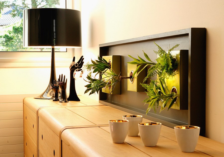 Растения в интерьере