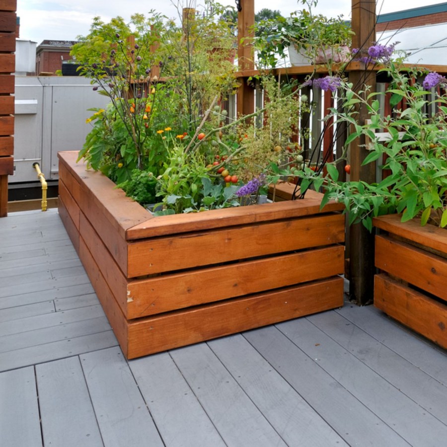 Высокие клумбы