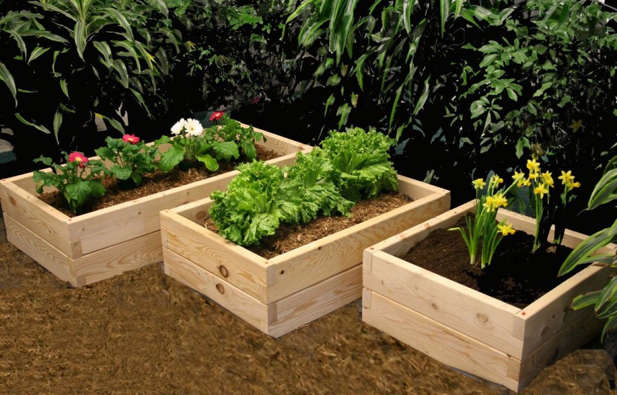 Умные грядки на даче своими руками фото