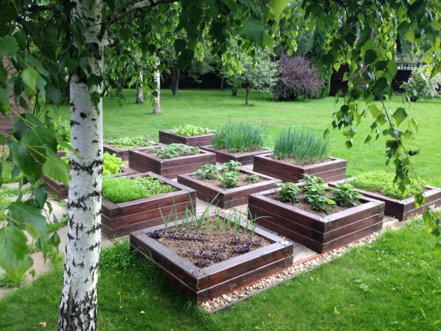 Клумбы на даче