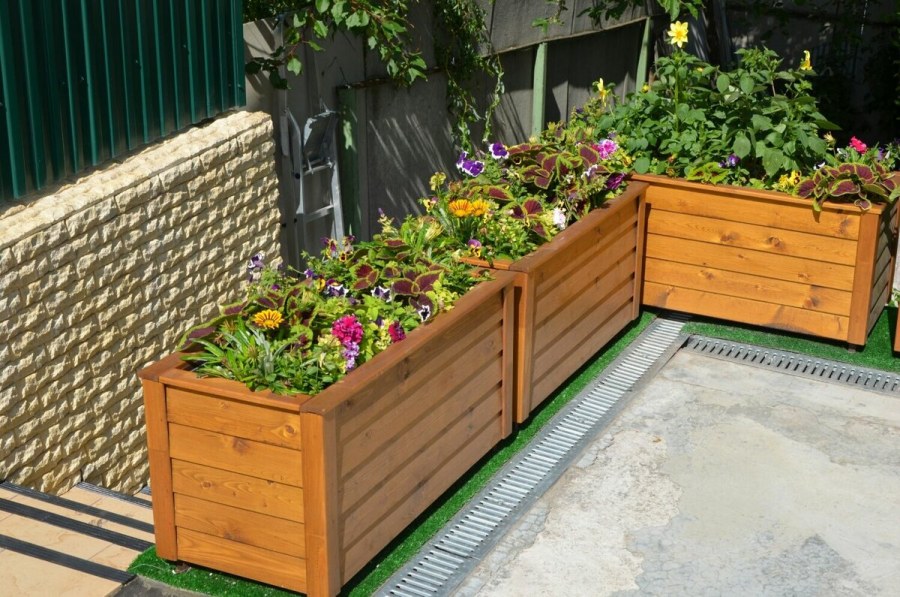 Красивые грядки соты