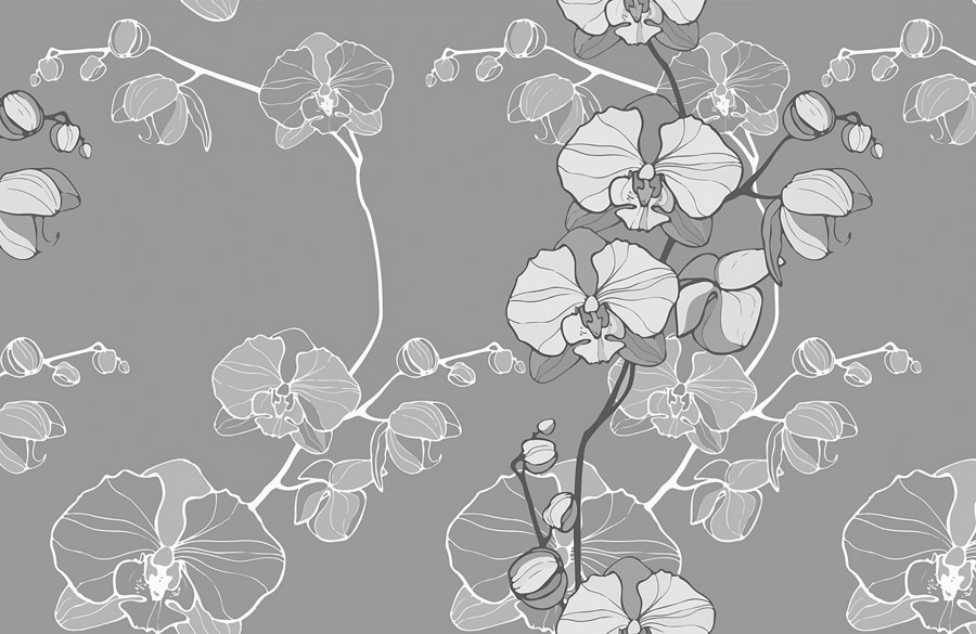 Фотообои на стену розовые