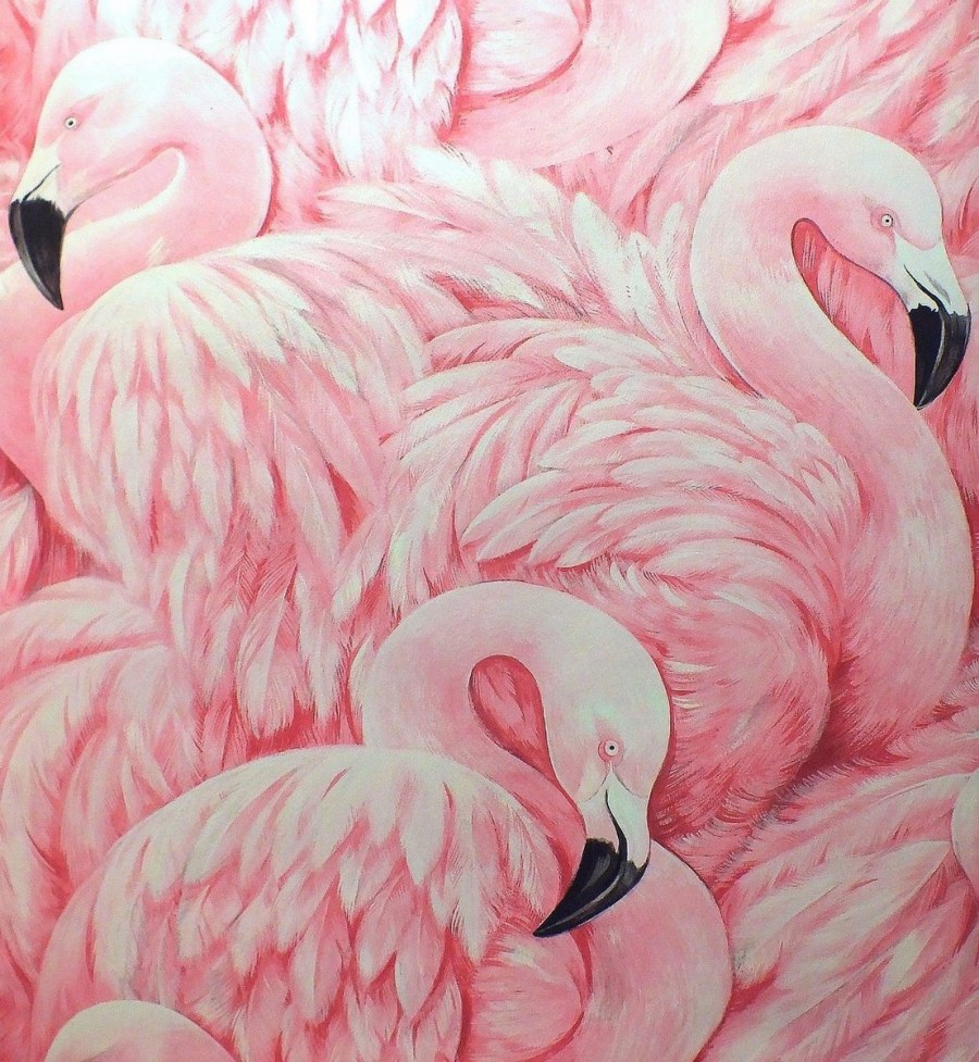 Розовый Фламинго обои