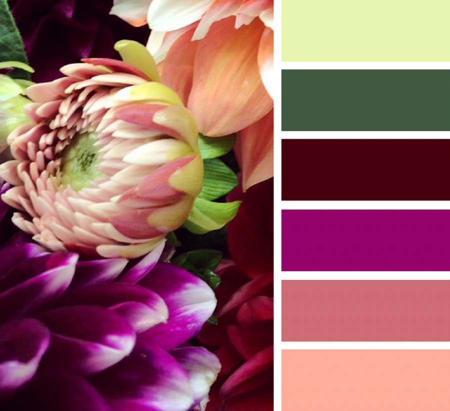 Цветосочетание палитра