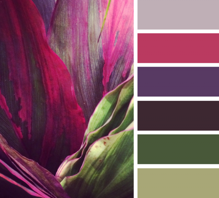 Палитра сочетания цветов