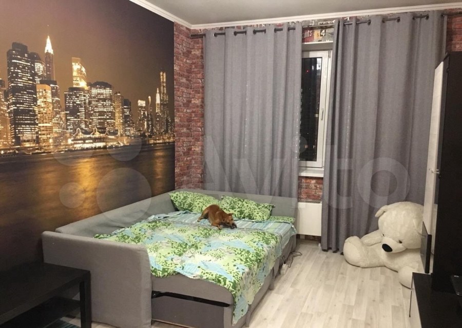 Алексеевская роща однушка панель