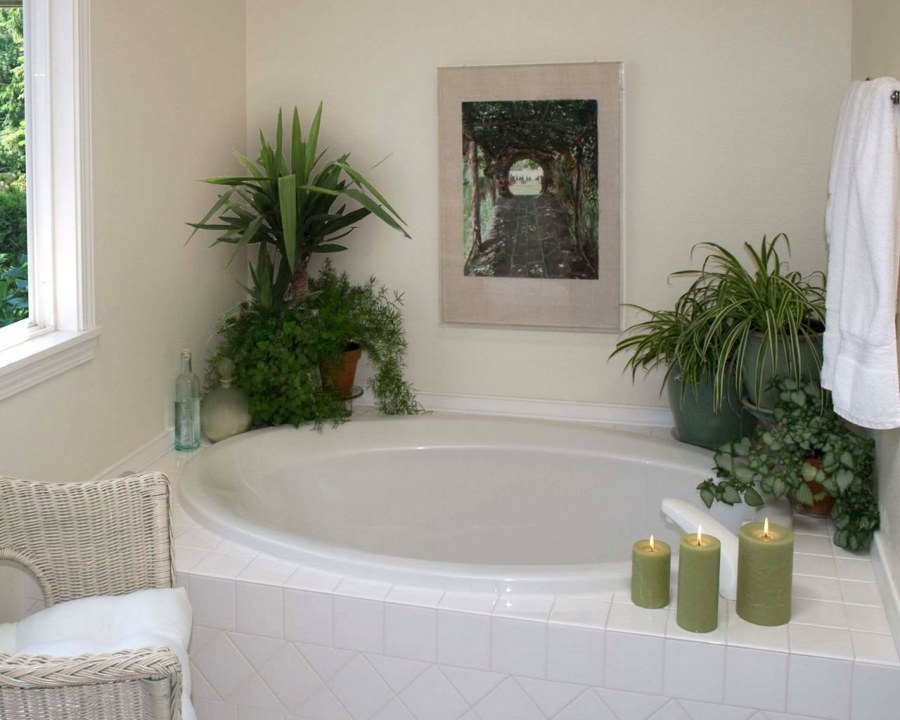 Растения в ванной комнате