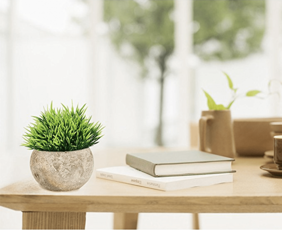 Зелень в горшках для декора