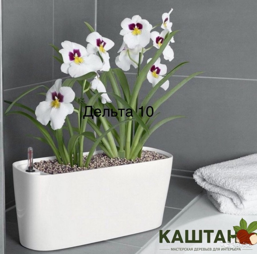 Lechuza Delta 20 белое