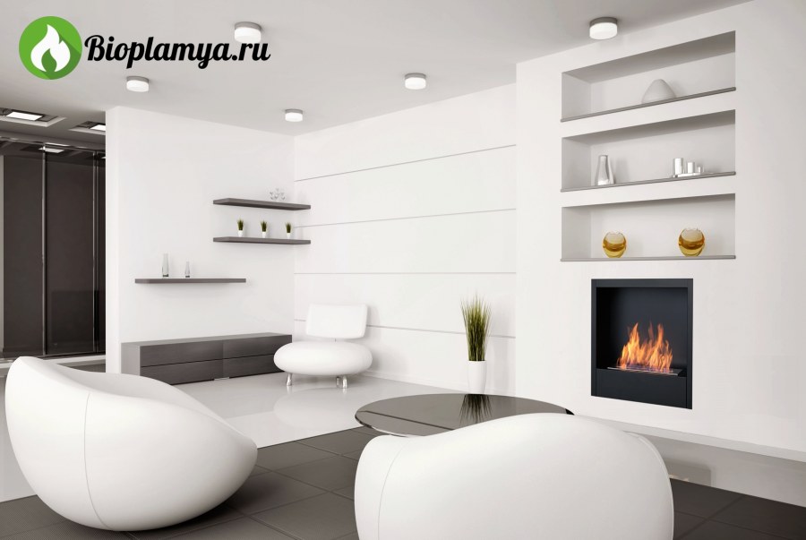 Биокамин Silver Smith Shell 2