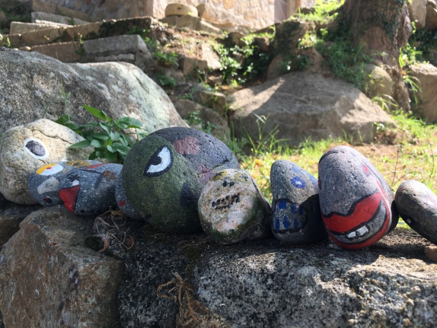 Крашеные камни для сада