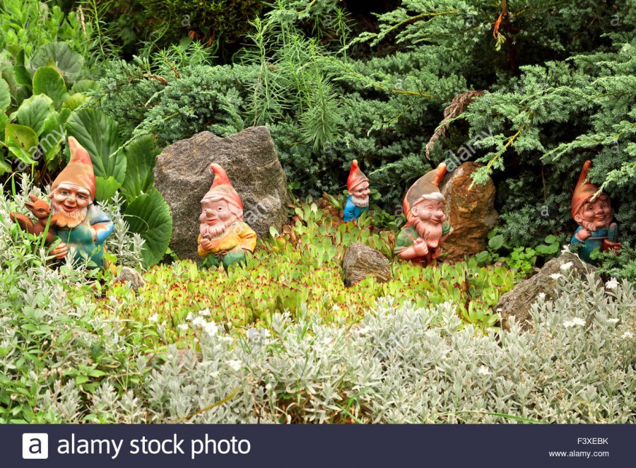 Садовые Гномы в саду
