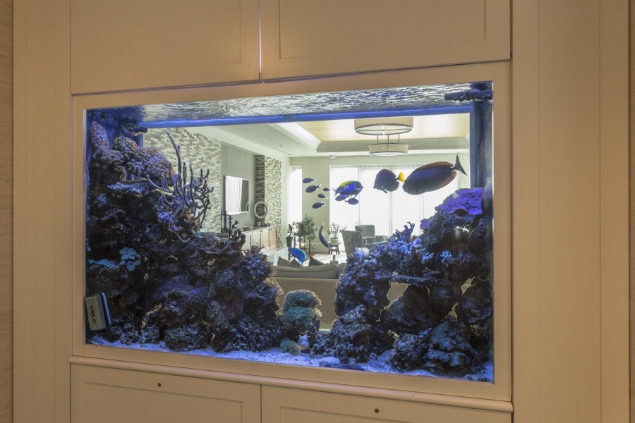 Зонирование аквариумом