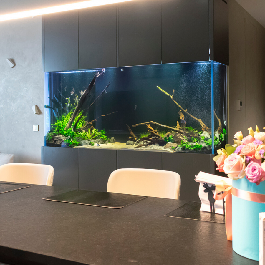 Аквариум в гостиной