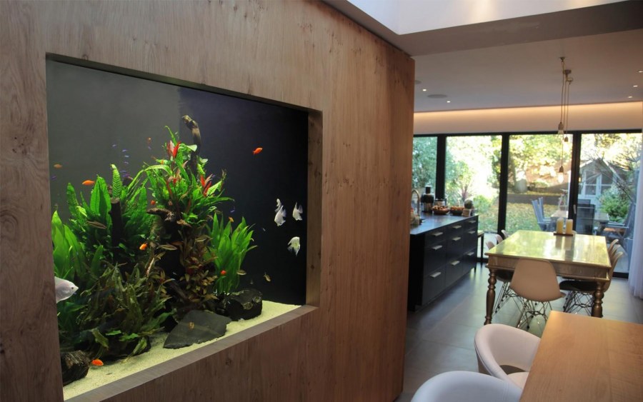 Необычные аквариумы в интерьере