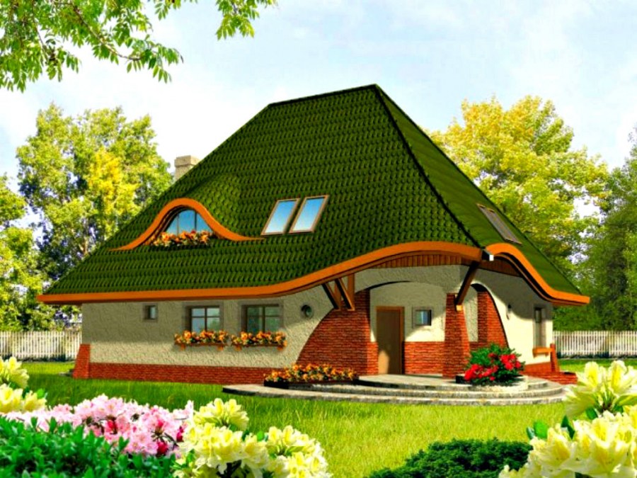 Необычные крыши одноэтажных домов