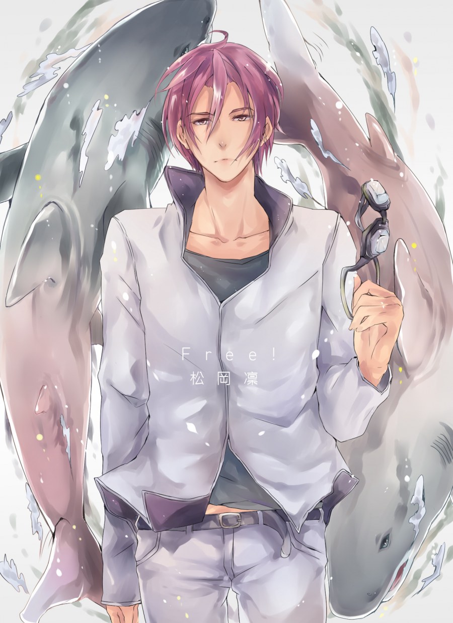 Аниме Вольный стиль Иватоби