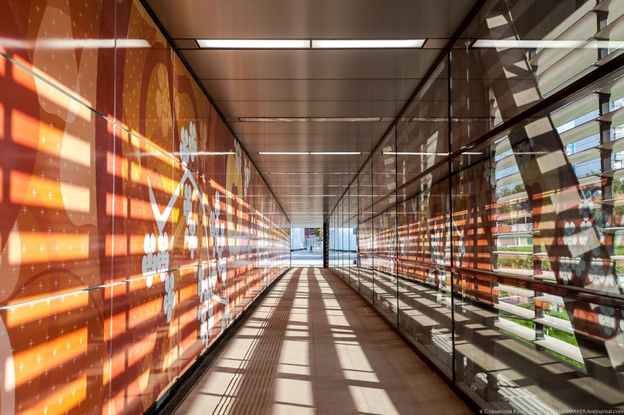 Станция метро Мичуринский проспект БКЛ