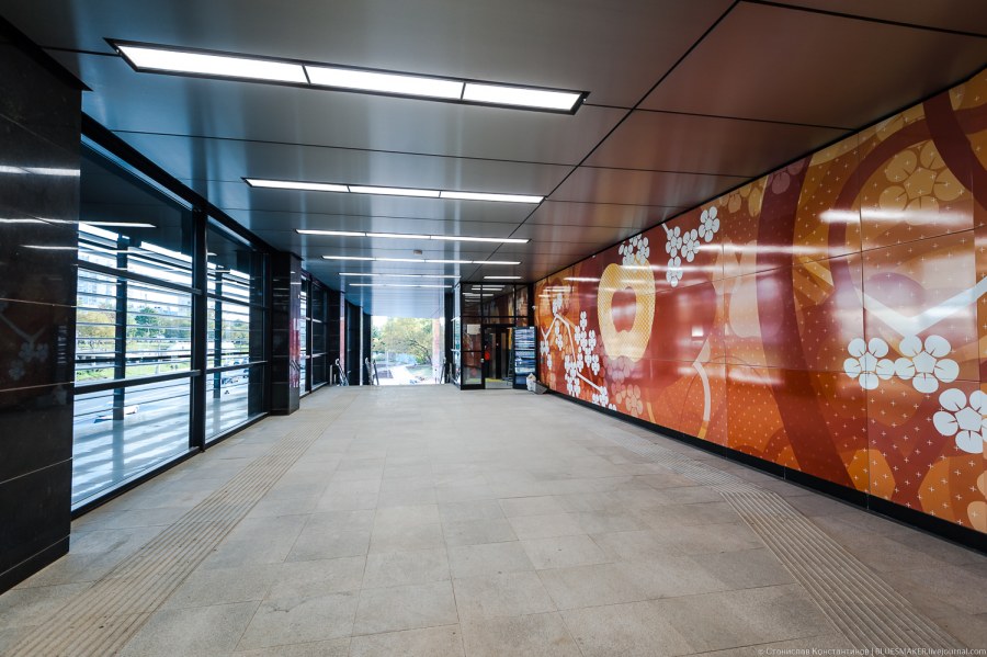 Холла Супернова