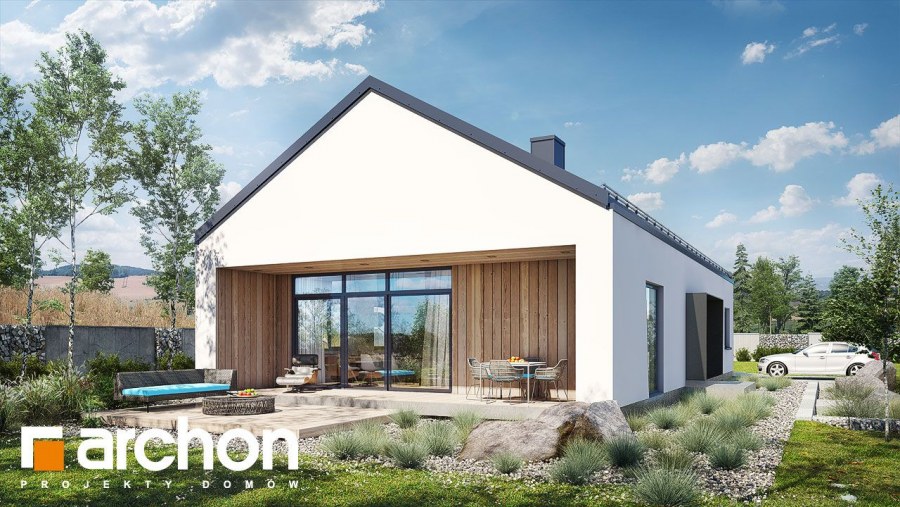 Дом лофт одноэтажный с двускатной крышей