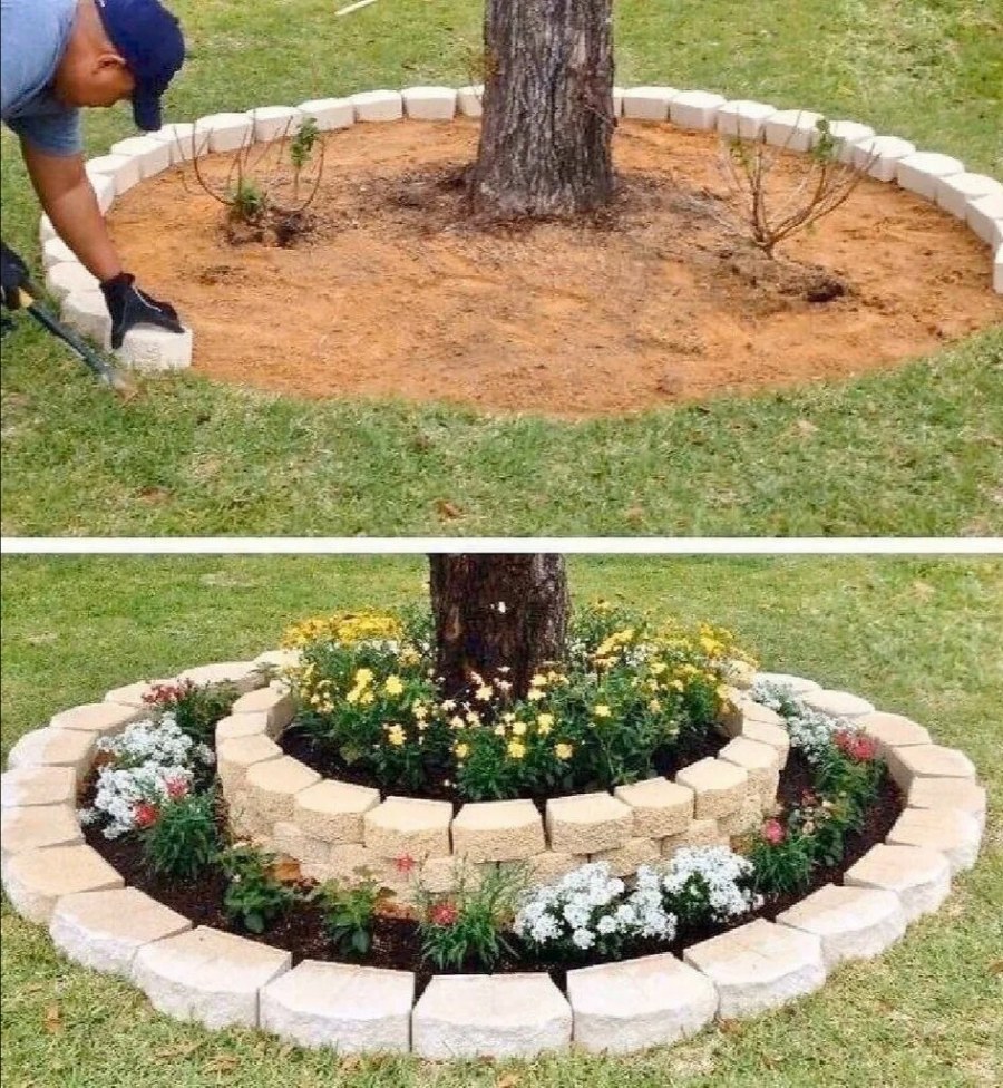 Красивые клумбы вокруг деревьев